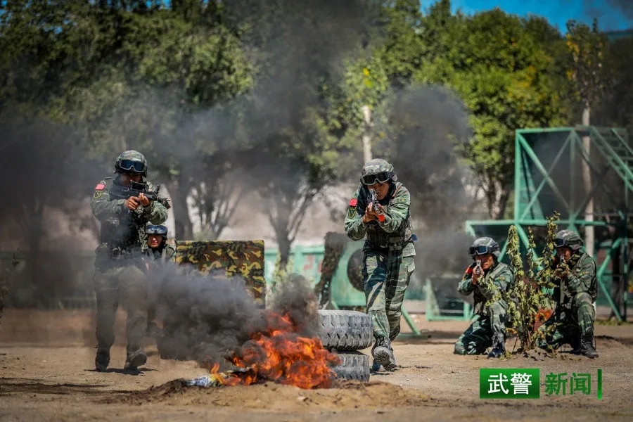 明日方舟中资深干员_明日方舟资深干员搭配支援_明日方舟资深干员tag搭配