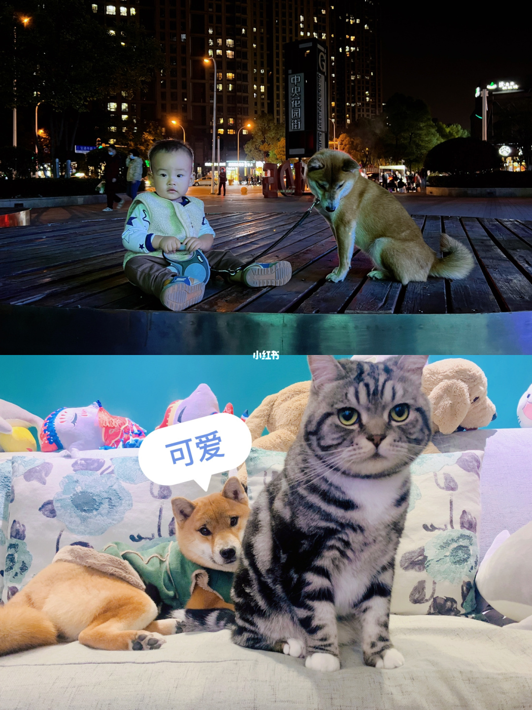 喵子_喵子小屋账号怎么注册_喵子小屋帐号注册