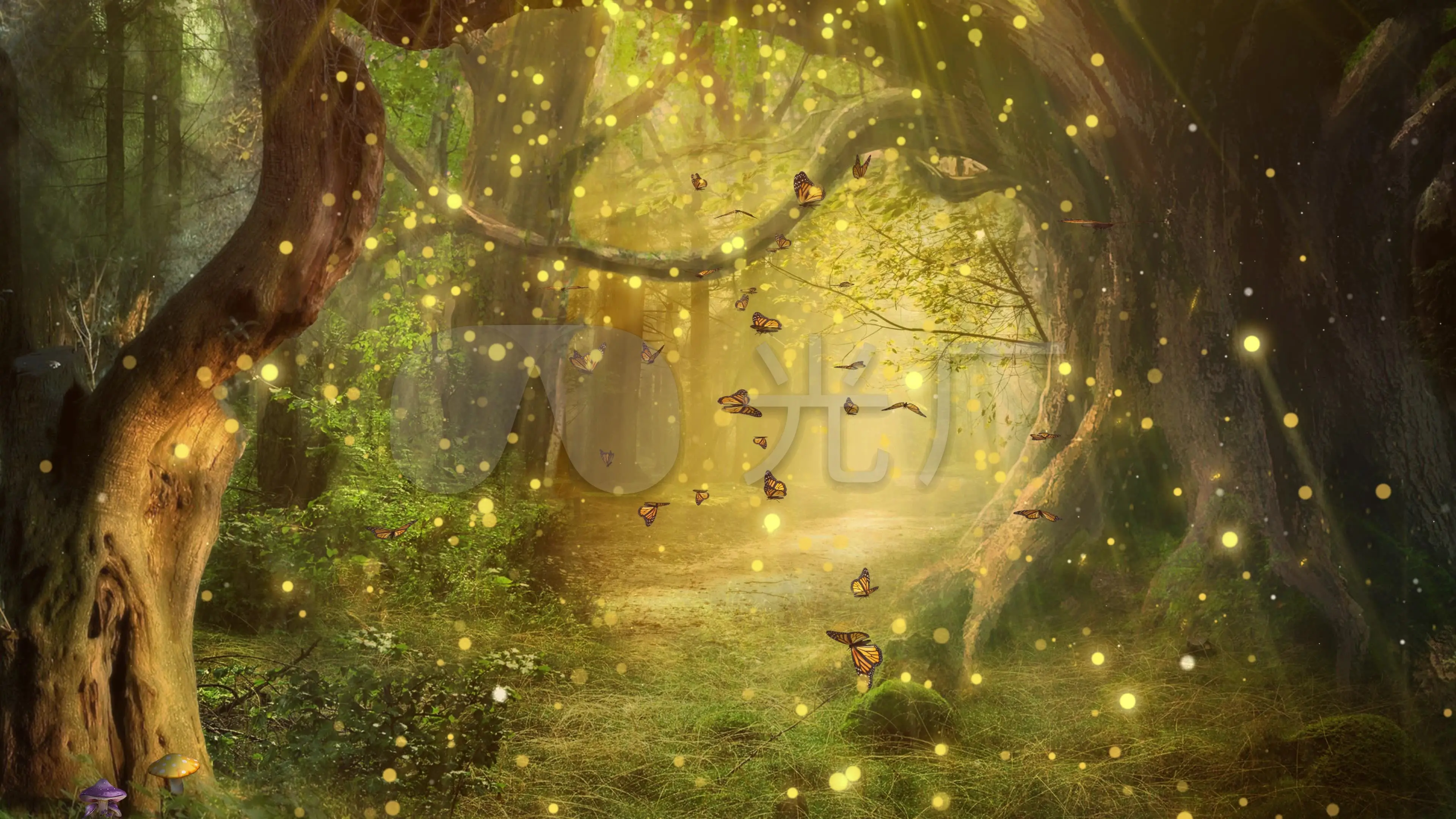梦幻森林_梦幻森林板材_梦幻森林电影普通话版