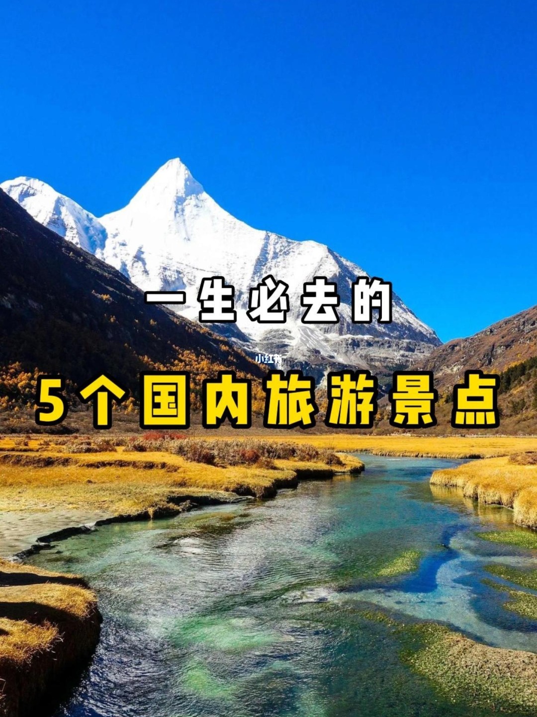 游玩攻略app哪个全面_游玩攻略app_游玩攻略app推荐