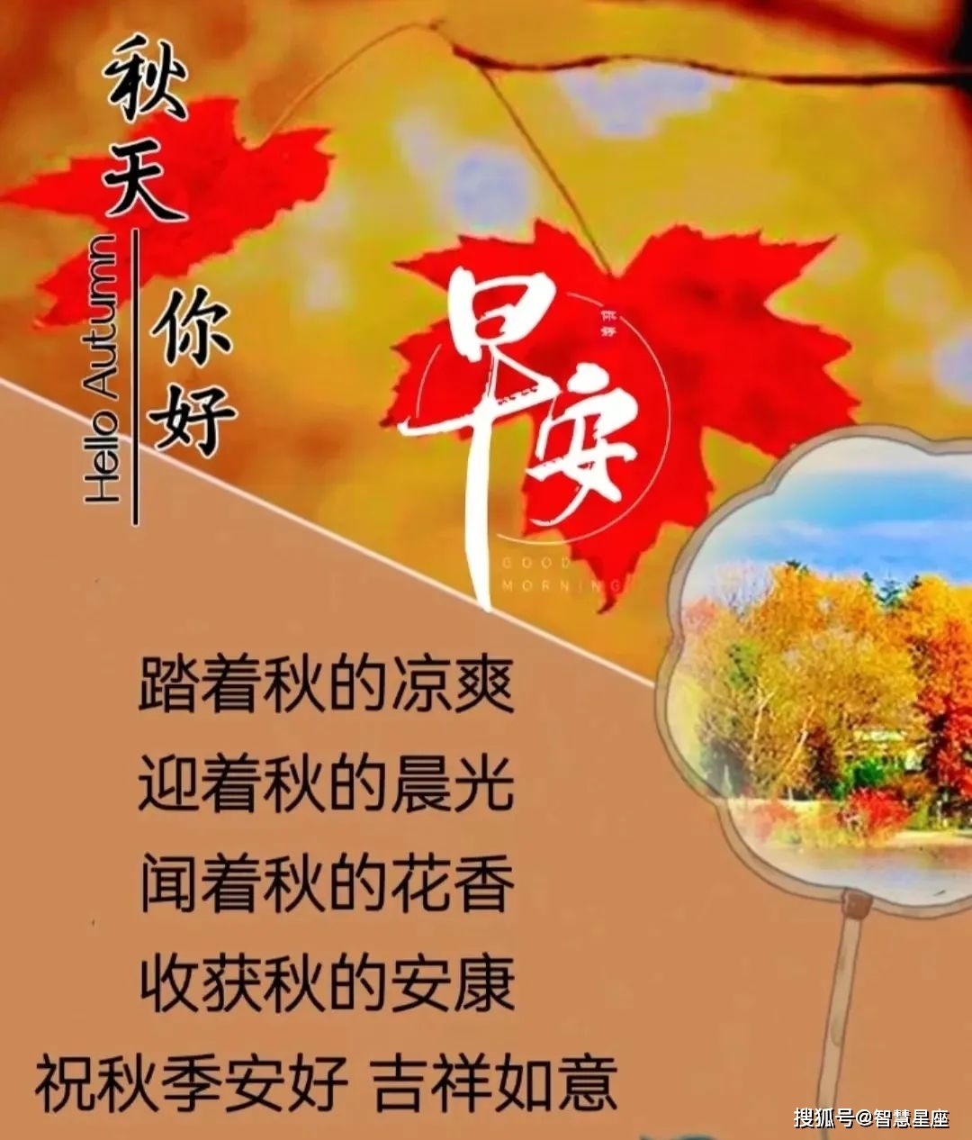 诺克提斯_诺克提斯王子_诺克提擎驱