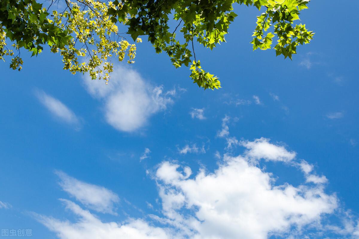朝比奈实玖瑠阿虚_朝比奈实玖瑠生日_朝比奈实玖瑠