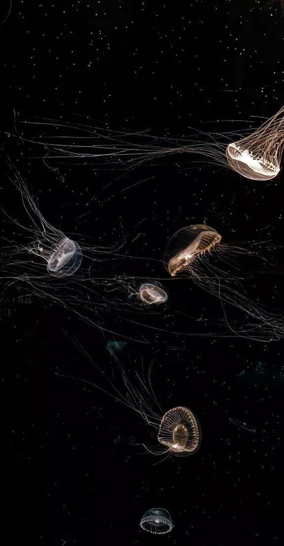 深海电视剧在线观看_深海免费完整版高清在线观看_深海电影免费