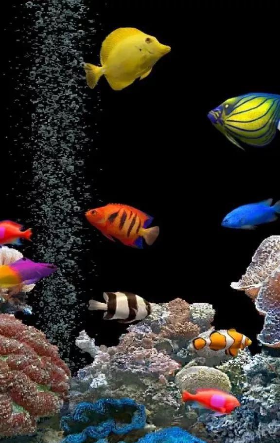 深海电影免费_深海免费完整版高清在线观看_深海电视剧在线观看