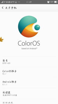 怎样查看安卓系统几代了,Android系统版本识别与代数解析